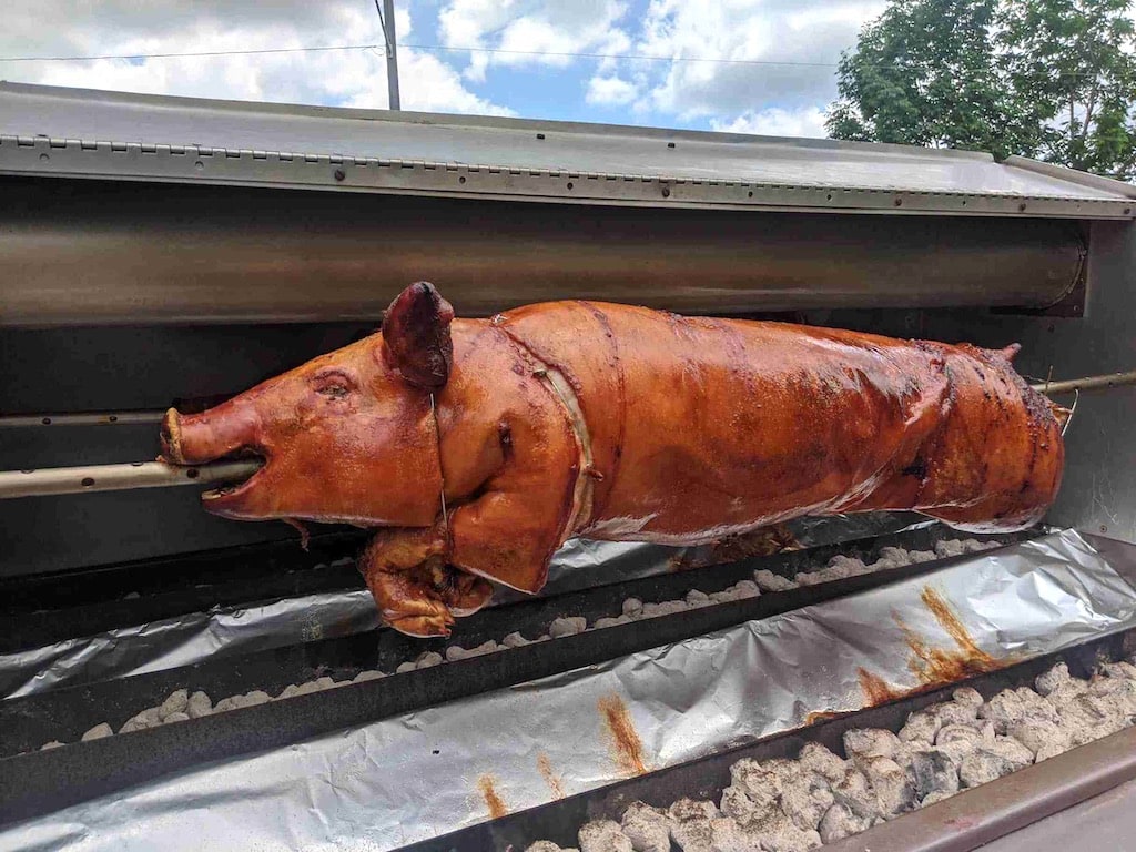 Close up of rotisserie pig on spit